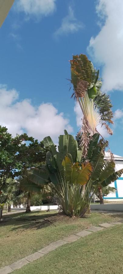 Karibbean Sweet Home Saint-Francois  Luaran gambar